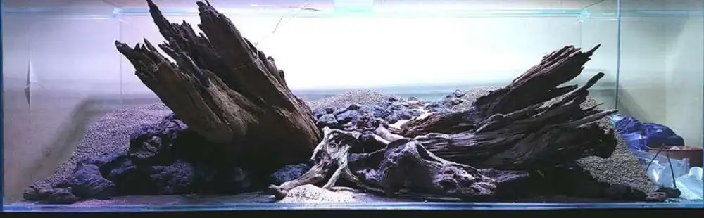 Step by step progression IAPLC 2018 Rank 20 - Faith