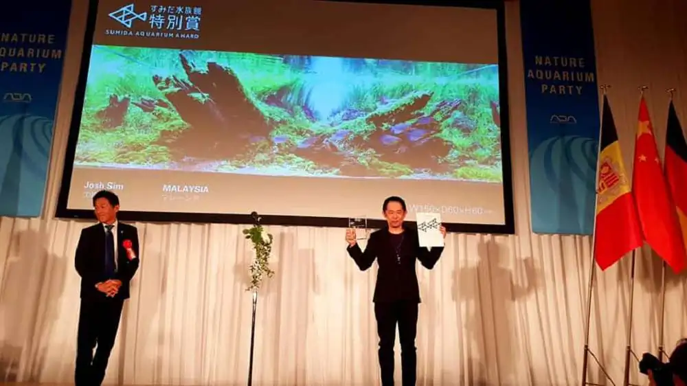 Step by step progression IAPLC 2018 Rank 20 - Faith