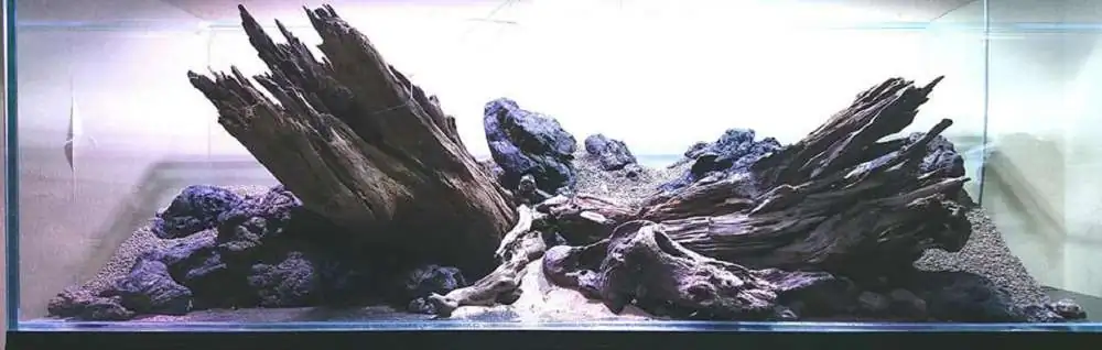 Step by step progression IAPLC 2018 Rank 20 - Faith