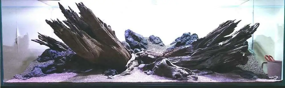 Step by step progression IAPLC 2018 Rank 20 - Faith