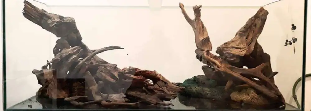 Step by step progression IAPLC 2018 Rank 22 - Moonsoon