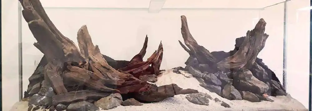 Step by step progression IAPLC 2018 Rank 22 - Moonsoon