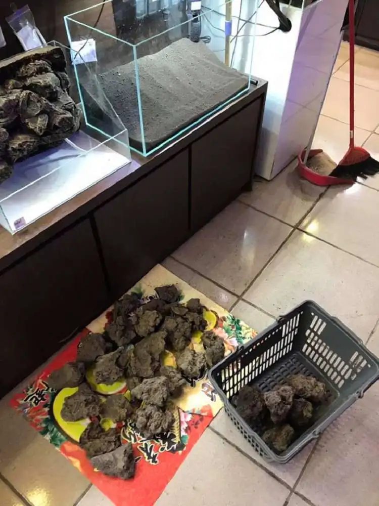 Step by step progression IAPLC 2018 Rank 23