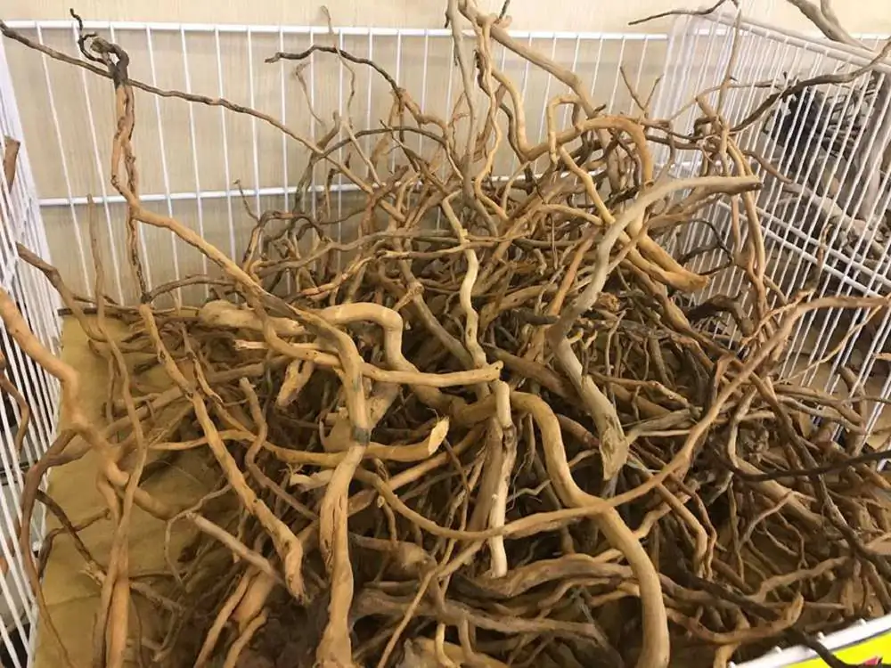 Step by step progression IAPLC 2018 Rank 23