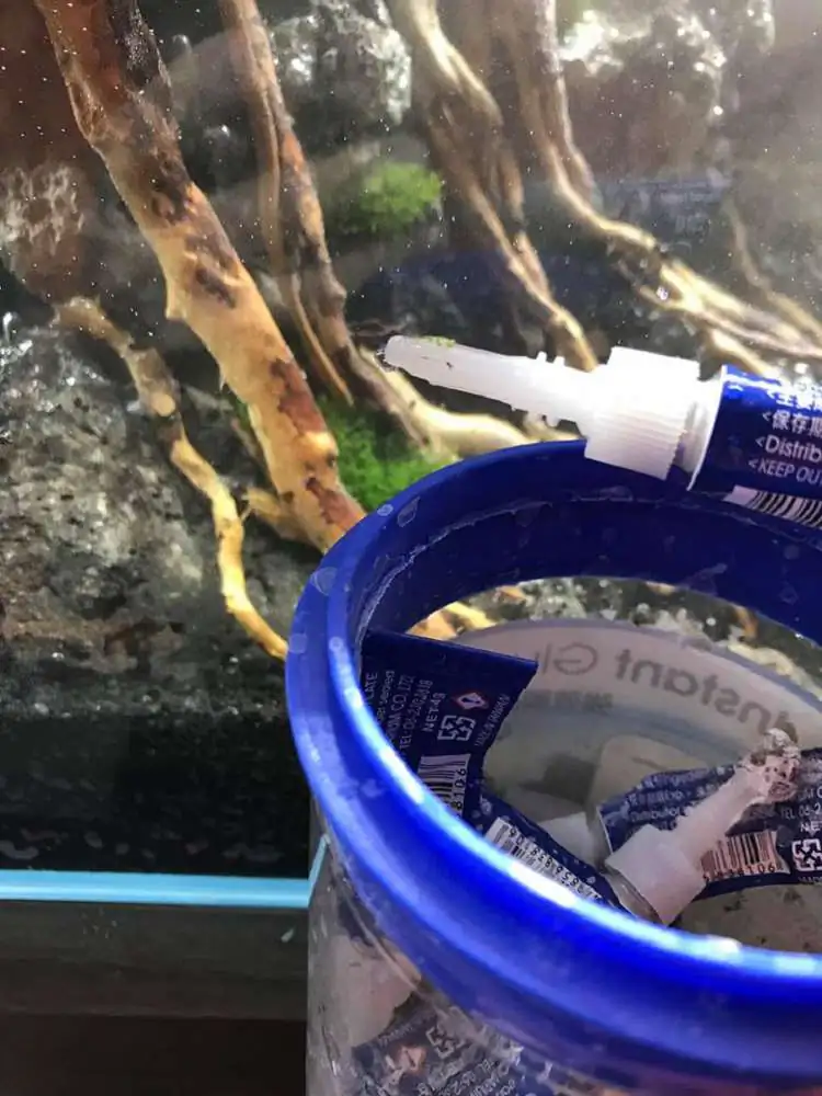 Step by step progression IAPLC 2018 Rank 23