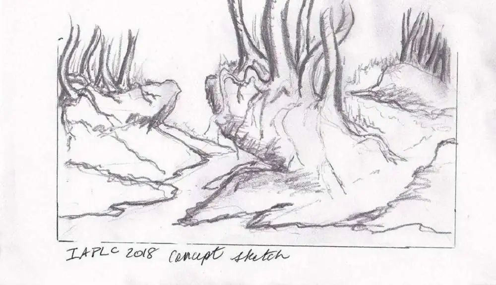 Step by step progression IAPLC 2018 Rank 77 - Ascension