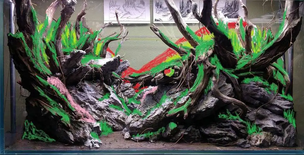 Step by step progression IAPLC 2018 Rank 77 - Ascension