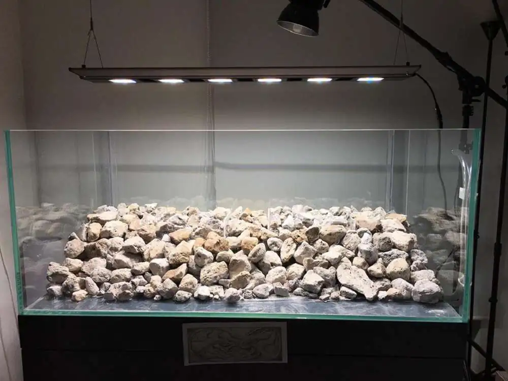 Step by step progression IAPLC 2018 Rank 88 - Delirium 