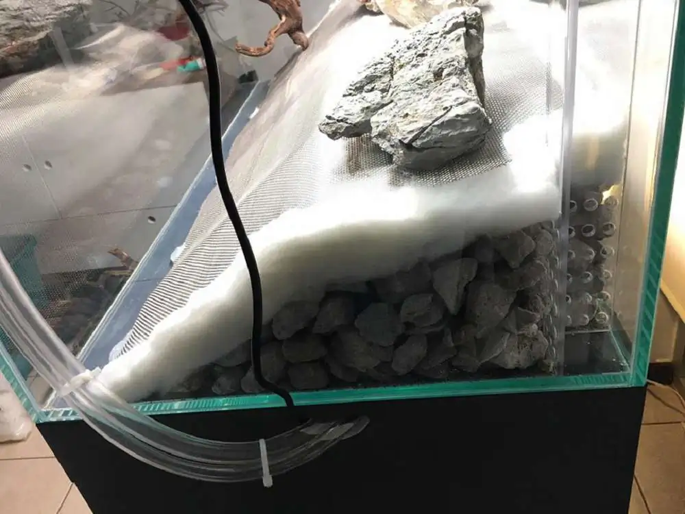 Step by step progression IAPLC 2018 Rank 88 - Delirium 