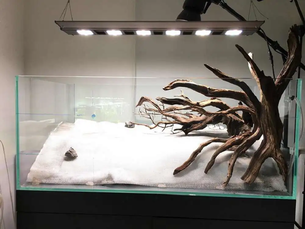 Step by step progression IAPLC 2018 Rank 88 - Delirium 