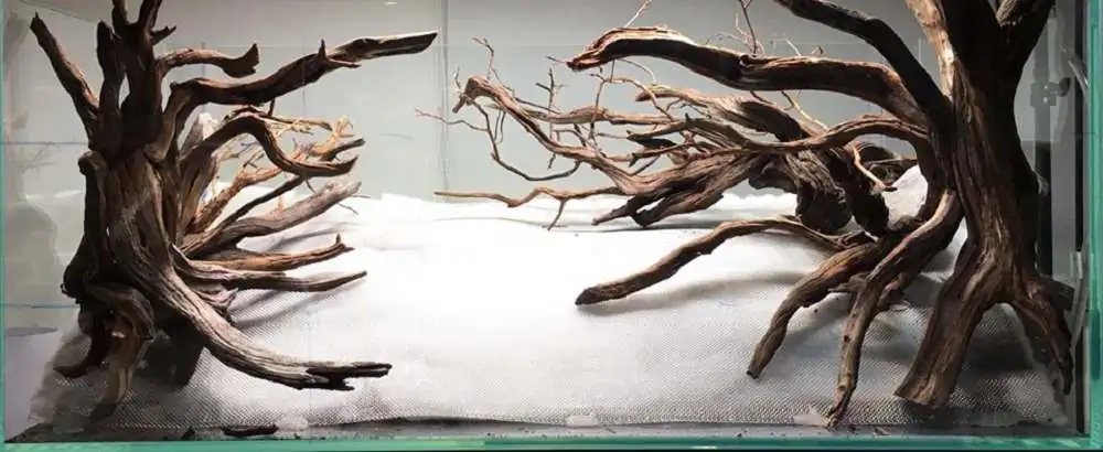 Step by step progression IAPLC 2018 Rank 88 - Delirium 