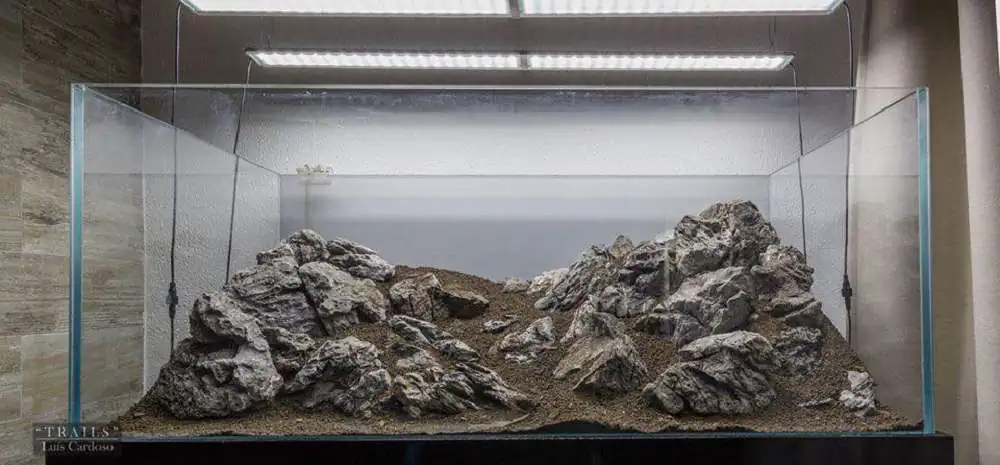 Step by step progression IAPLC 2018 Rank 92 - Trails