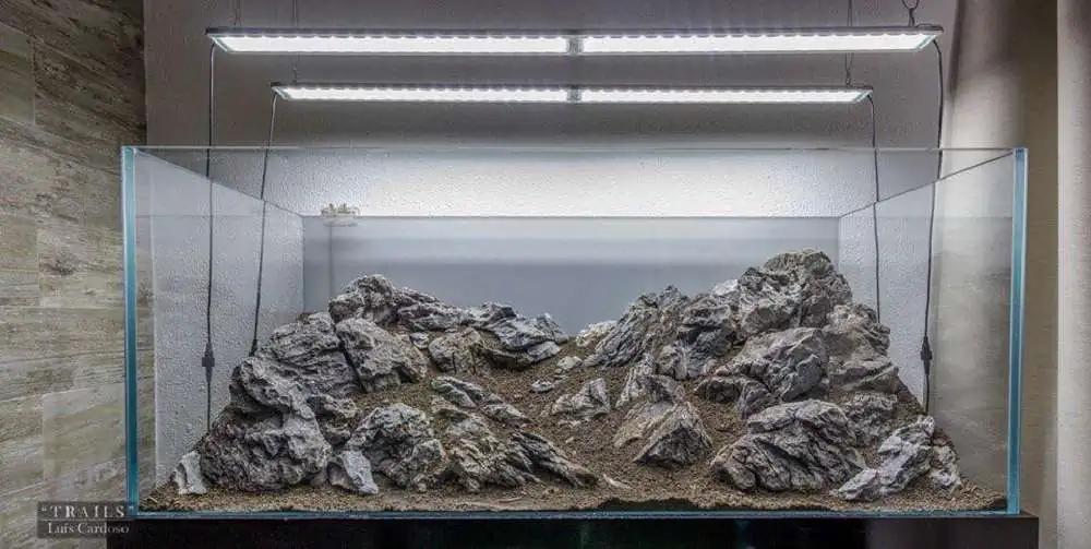 Step by step progression IAPLC 2018 Rank 92 - Trails