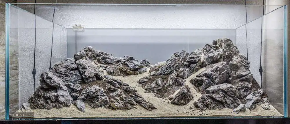 Step by step progression IAPLC 2018 Rank 92 - Trails