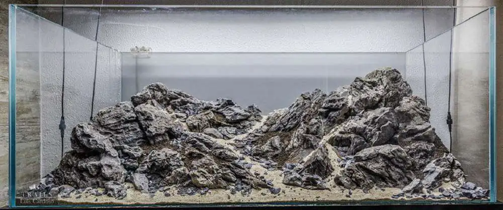 Step by step progression IAPLC 2018 Rank 92 - Trails