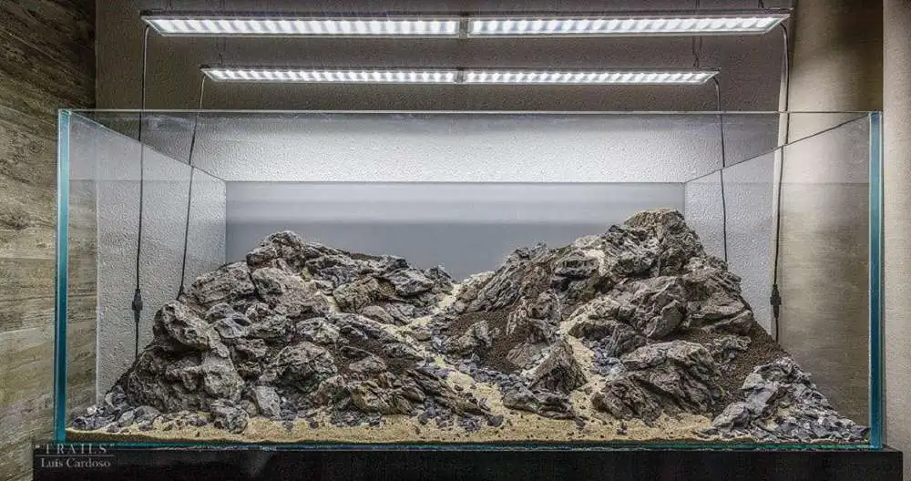 Step by step progression IAPLC 2018 Rank 92 - Trails