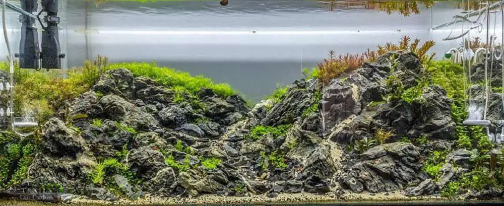 Step by step progression IAPLC 2018 Rank 92 - Trails