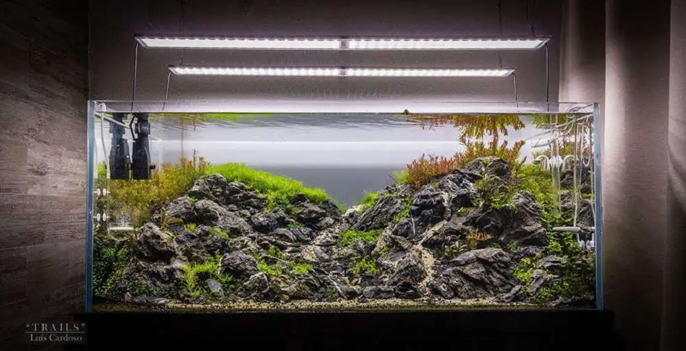 Step by step progression IAPLC 2018 Rank 92 - Trails