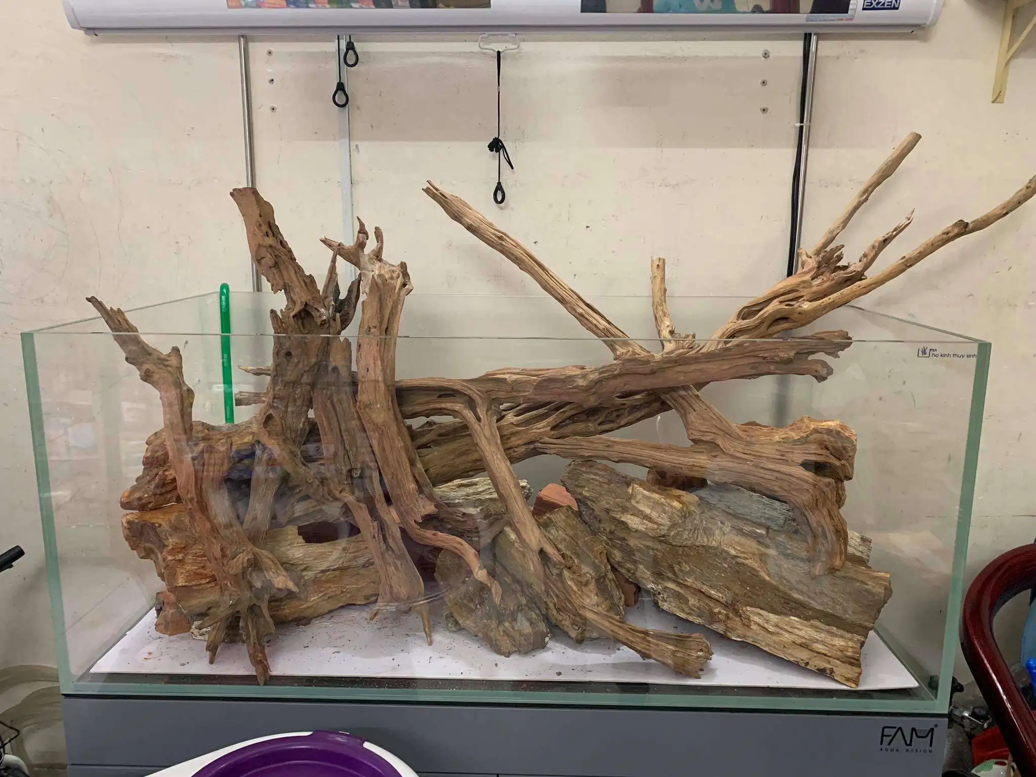 Step by step progression IAPLC 2020 Rank 107 - Wild Sound