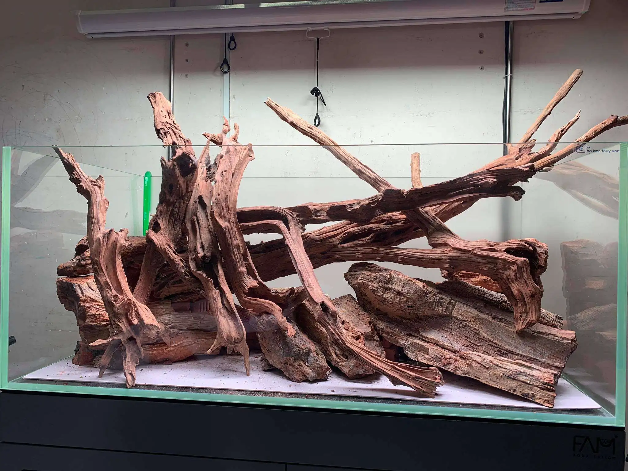 Step by step progression IAPLC 2020 Rank 107 - Wild Sound