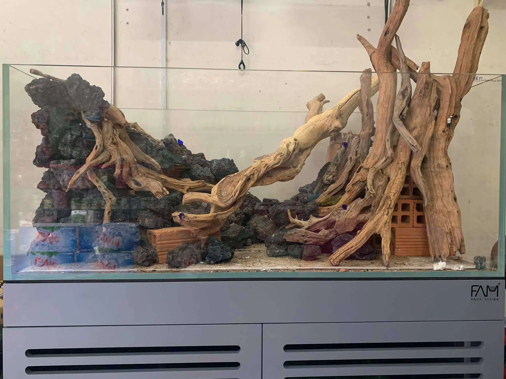 Step by step progression IAPLC 2020 Rank 107 - Wild Sound