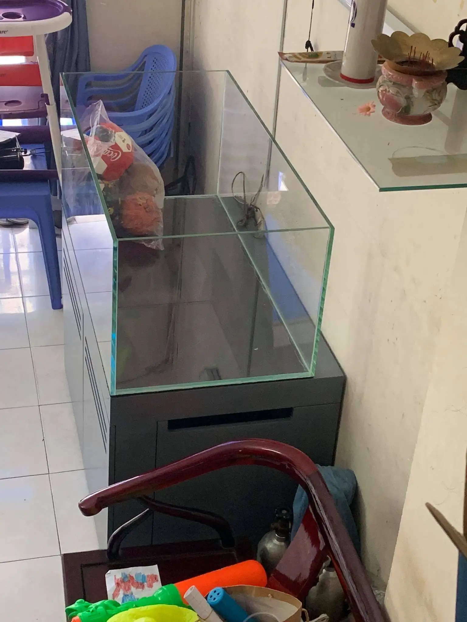 Step by step progression IAPLC 2020 Rank 107 - Wild Sound