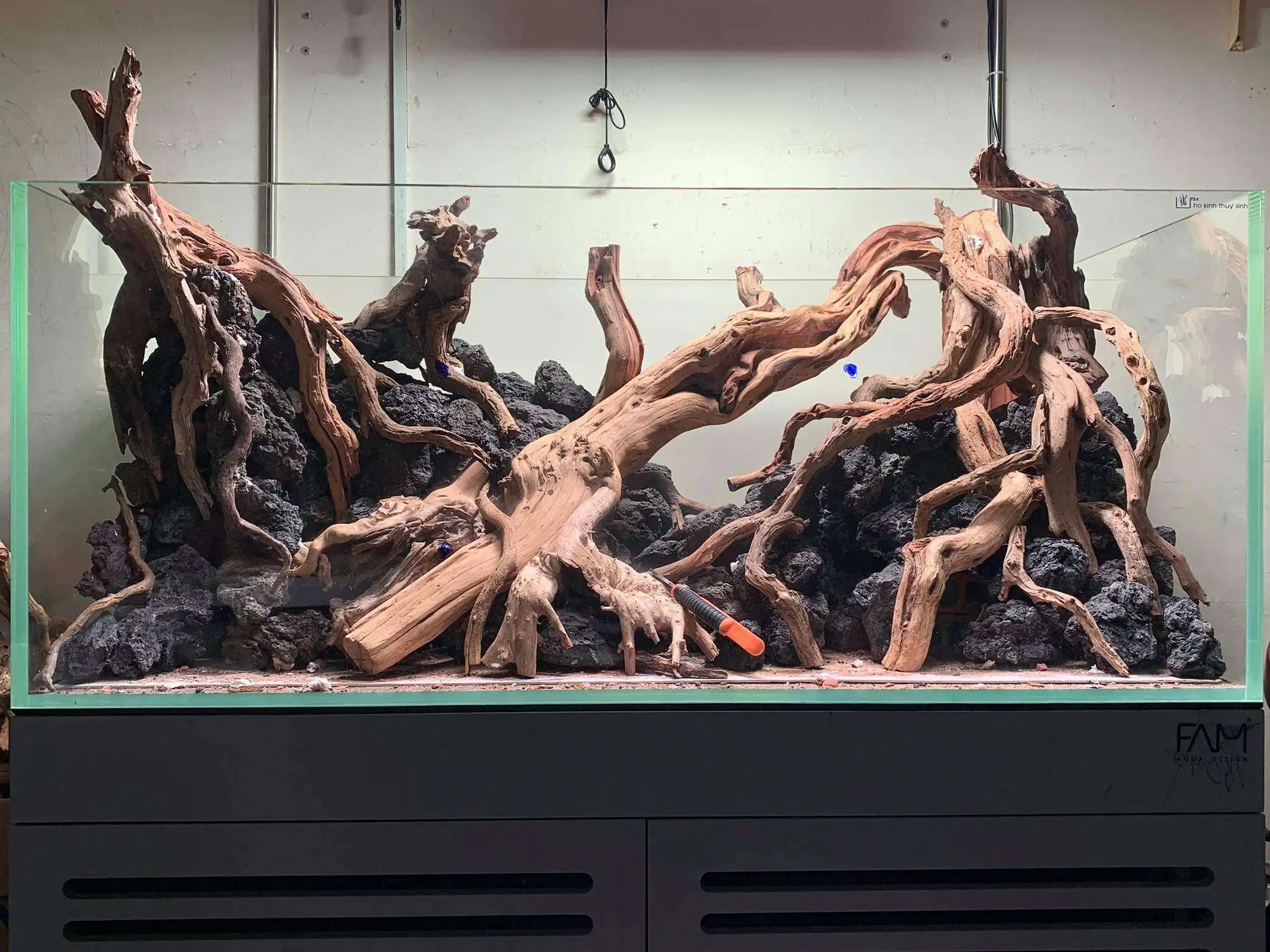 Step by step progression IAPLC 2020 Rank 107 - Wild Sound