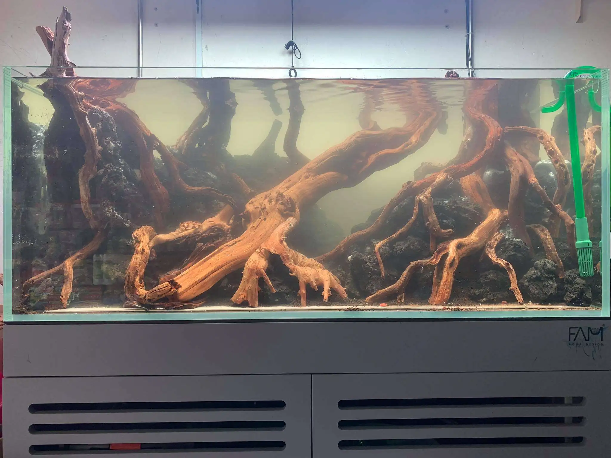 Step by step progression IAPLC 2020 Rank 107 - Wild Sound