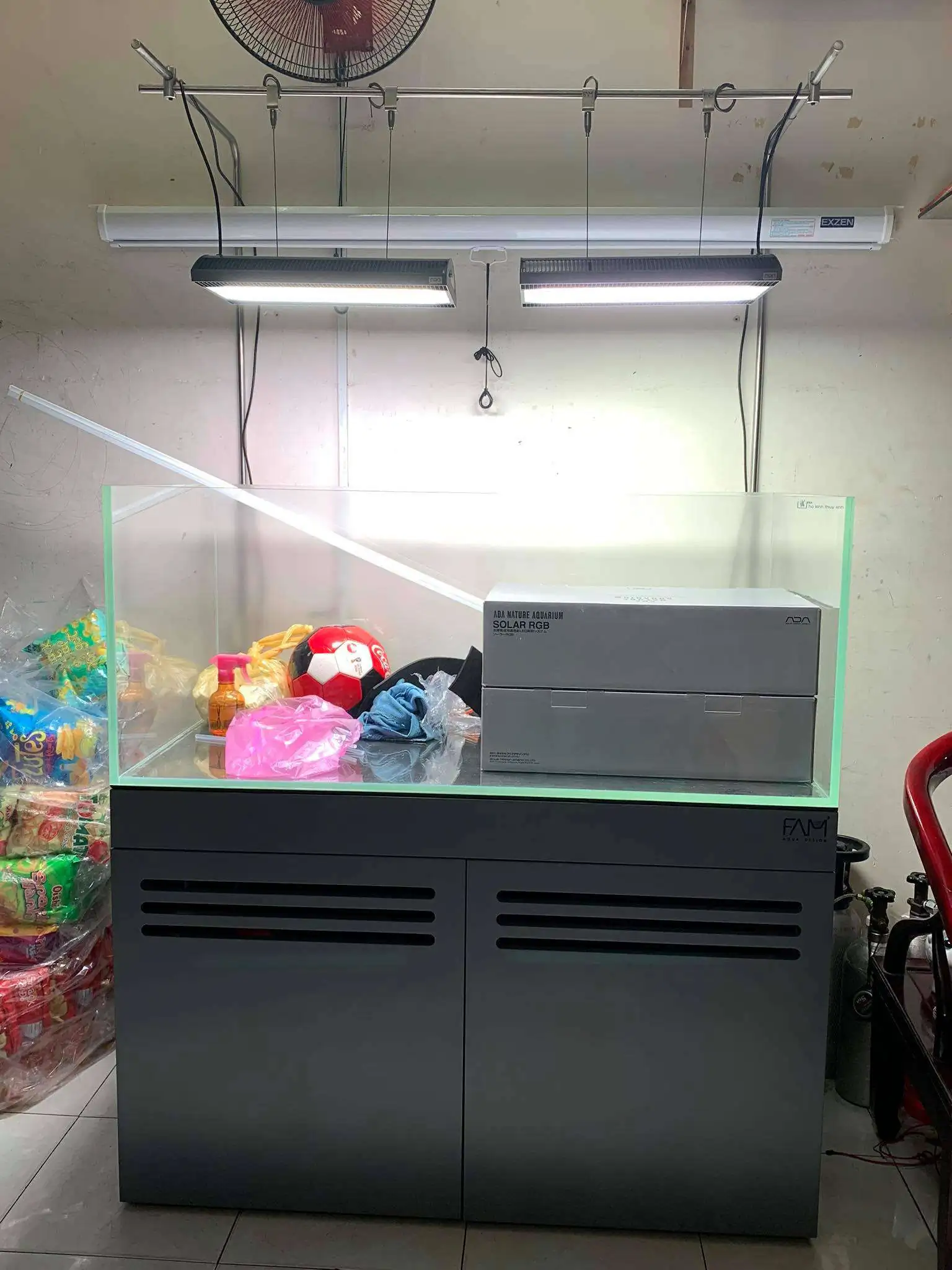 Step by step progression IAPLC 2020 Rank 107 - Wild Sound