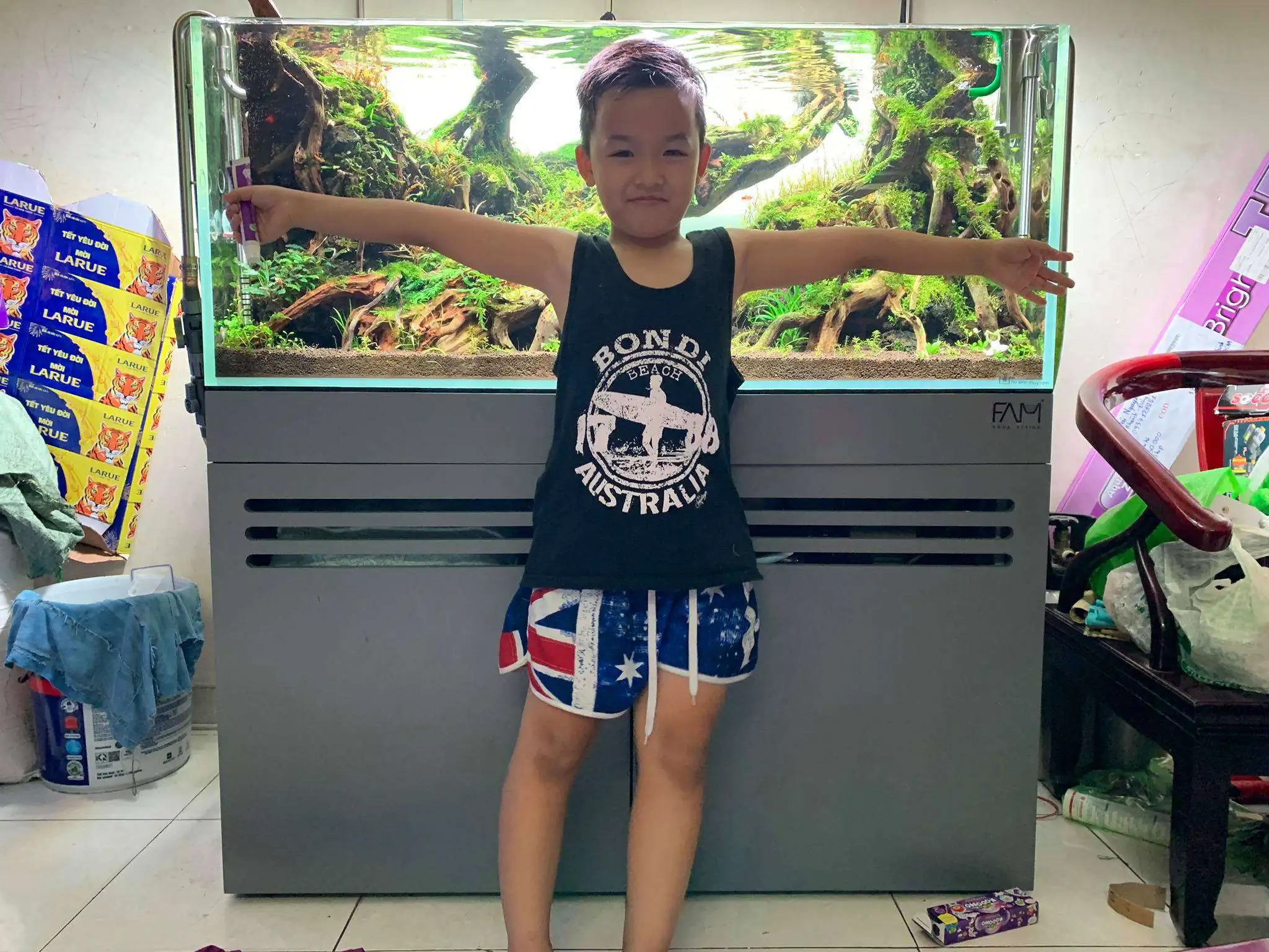 Step by step progression IAPLC 2020 Rank 107 - Wild Sound