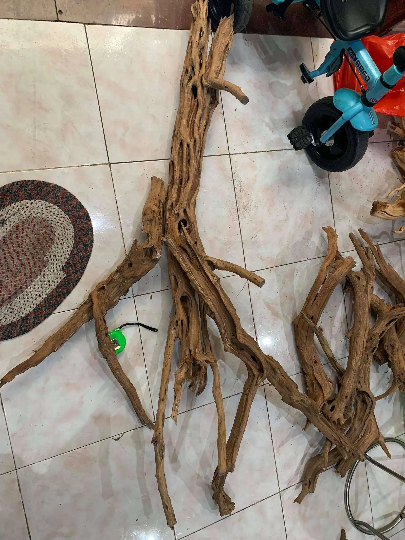 Step by step progression IAPLC 2020 Rank 107 - Wild Sound