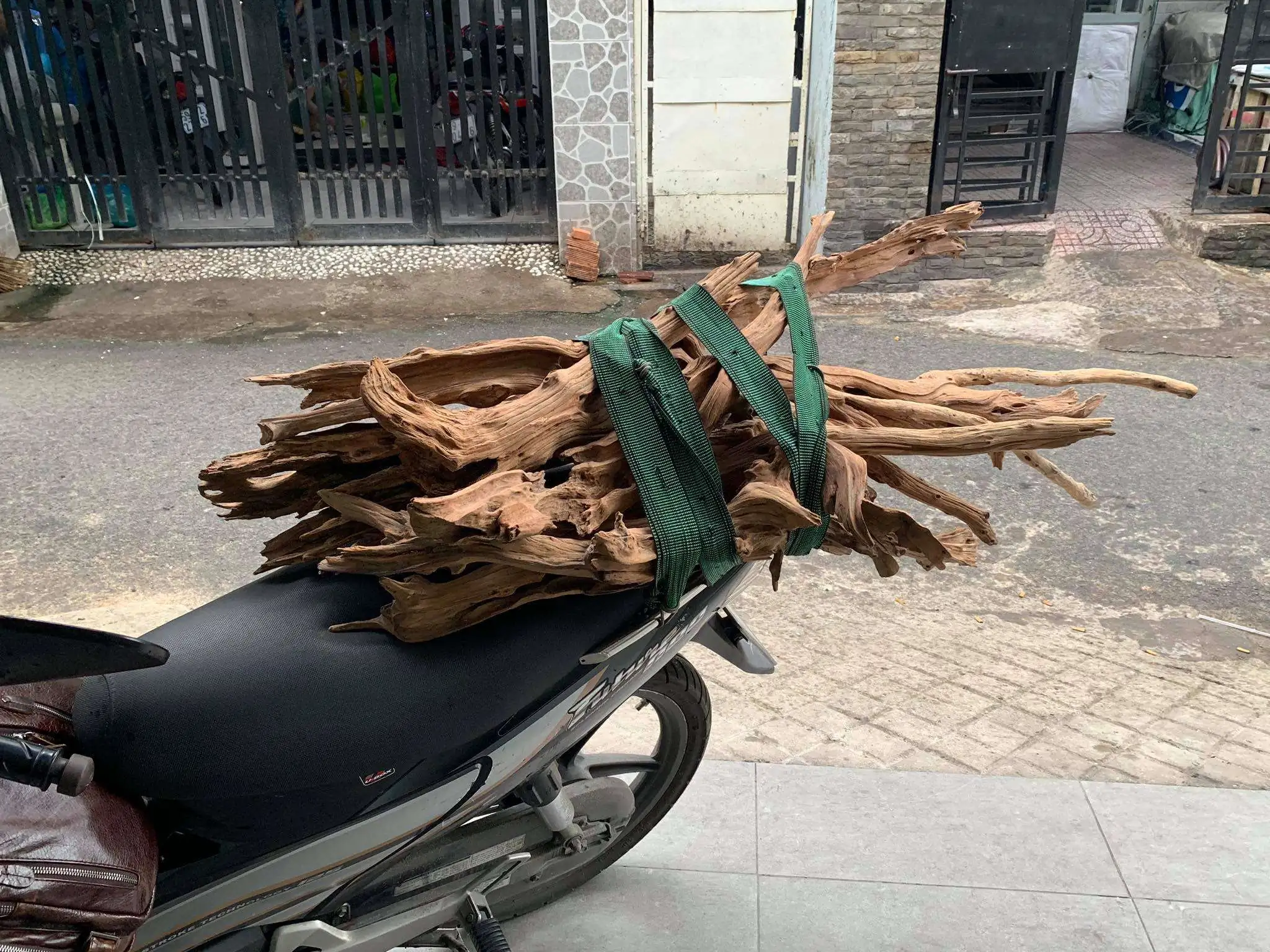 Step by step progression IAPLC 2020 Rank 107 - Wild Sound