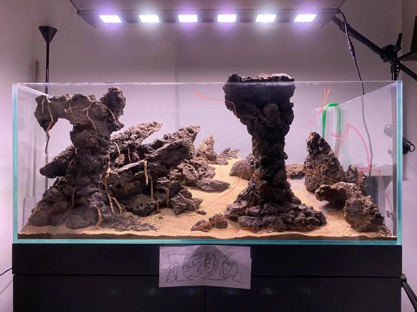 How to make nature aquarium - IAPLC 2021 Rank 120 - Imaginarium