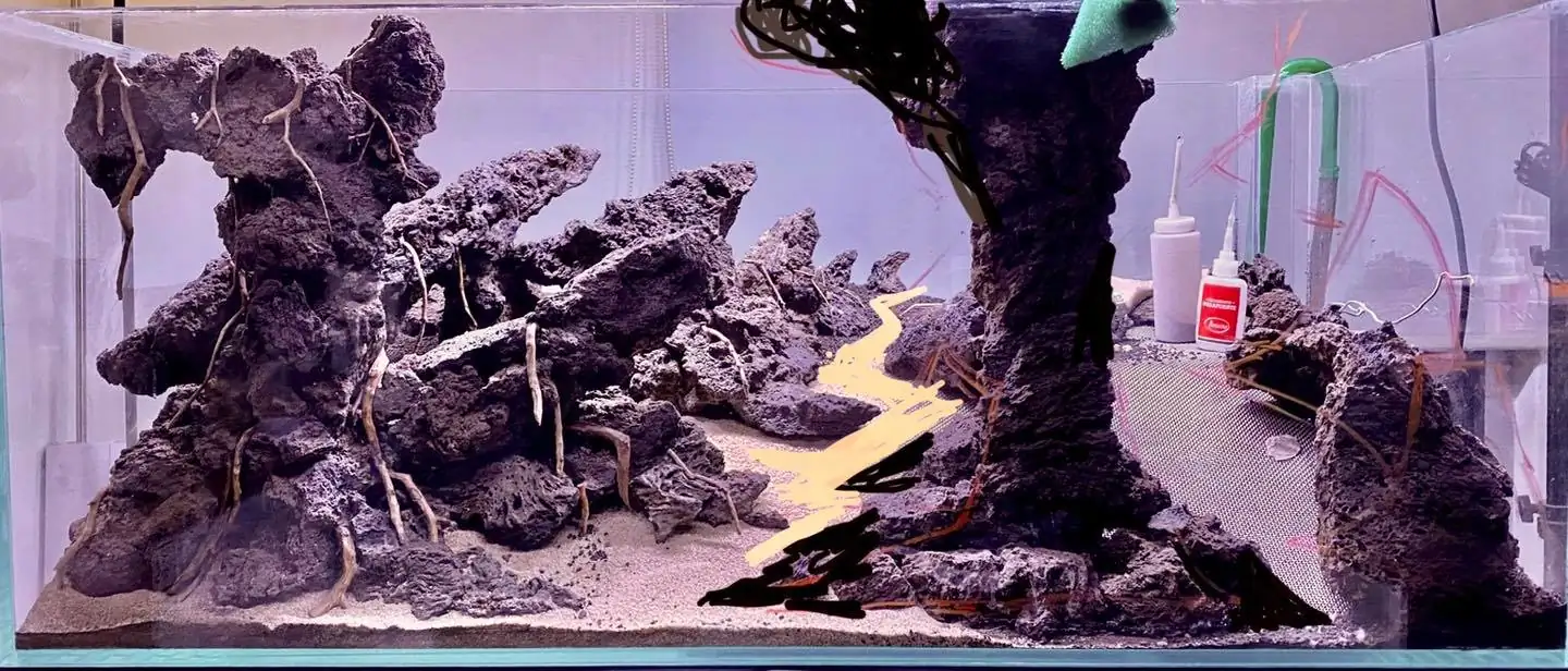 How to make nature aquarium - IAPLC 2021 Rank 120 - Imaginarium