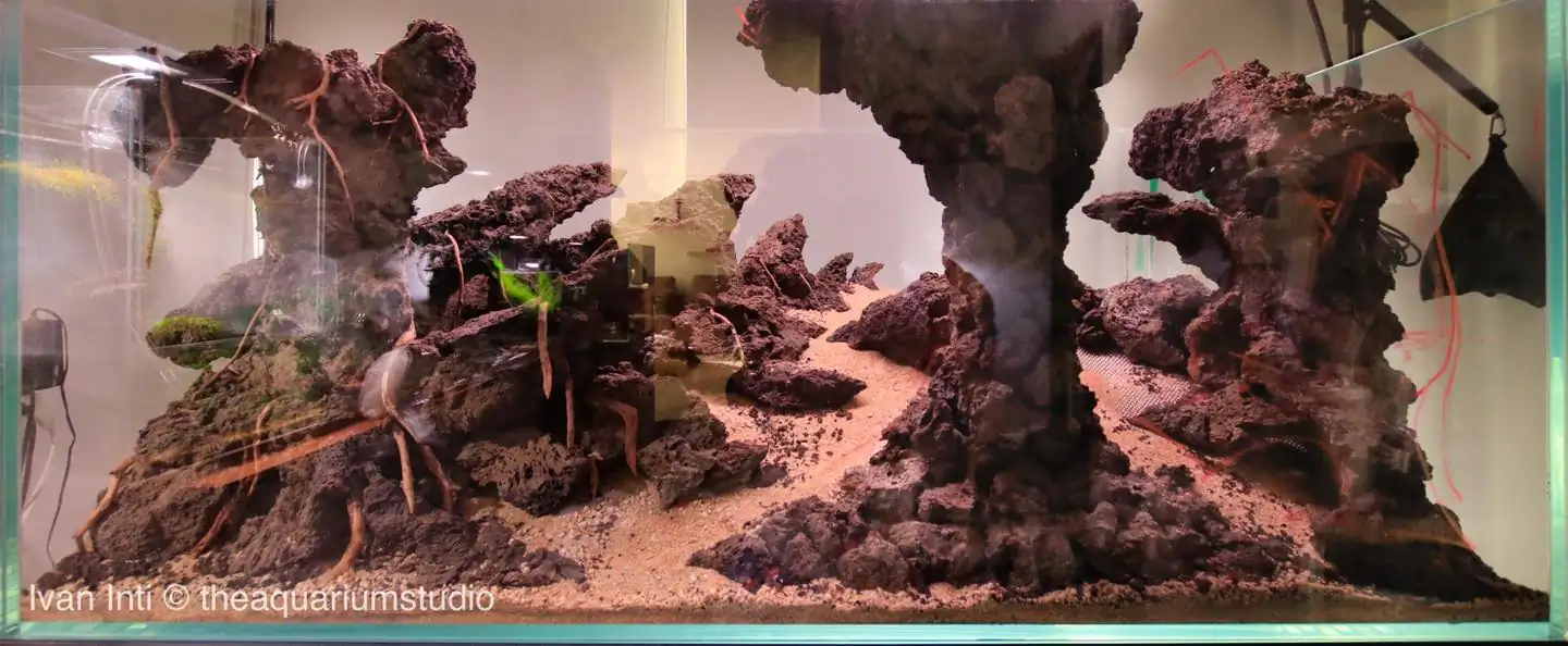 How to make nature aquarium - IAPLC 2021 Rank 120 - Imaginarium
