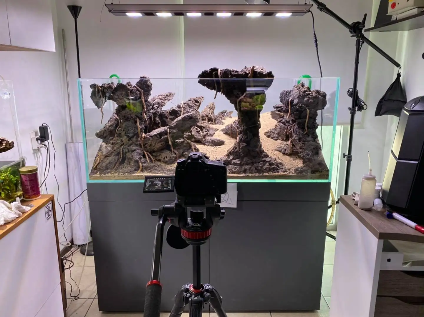 How to make nature aquarium - IAPLC 2021 Rank 120 - Imaginarium