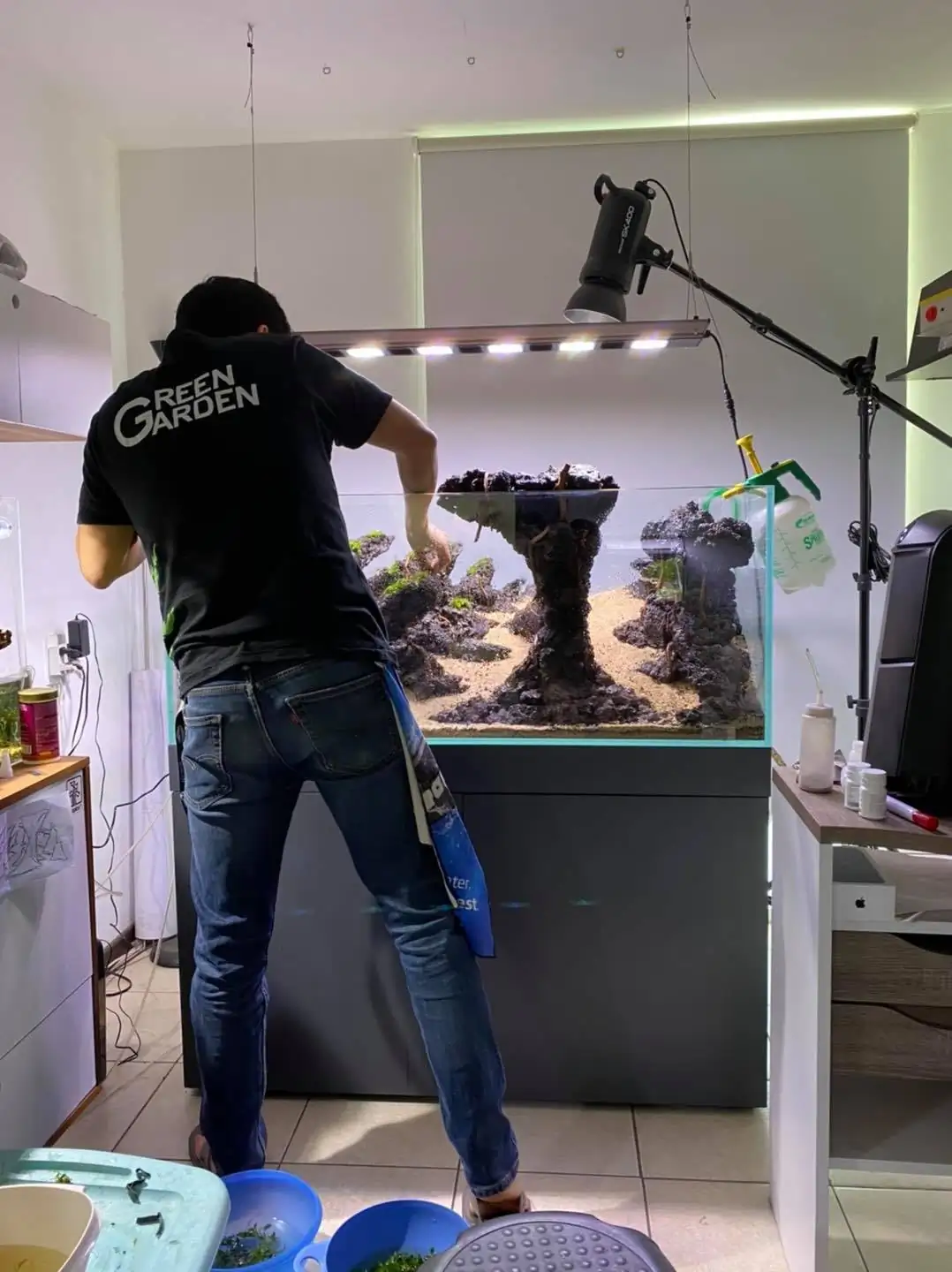 How to make nature aquarium - IAPLC 2021 Rank 120 - Imaginarium