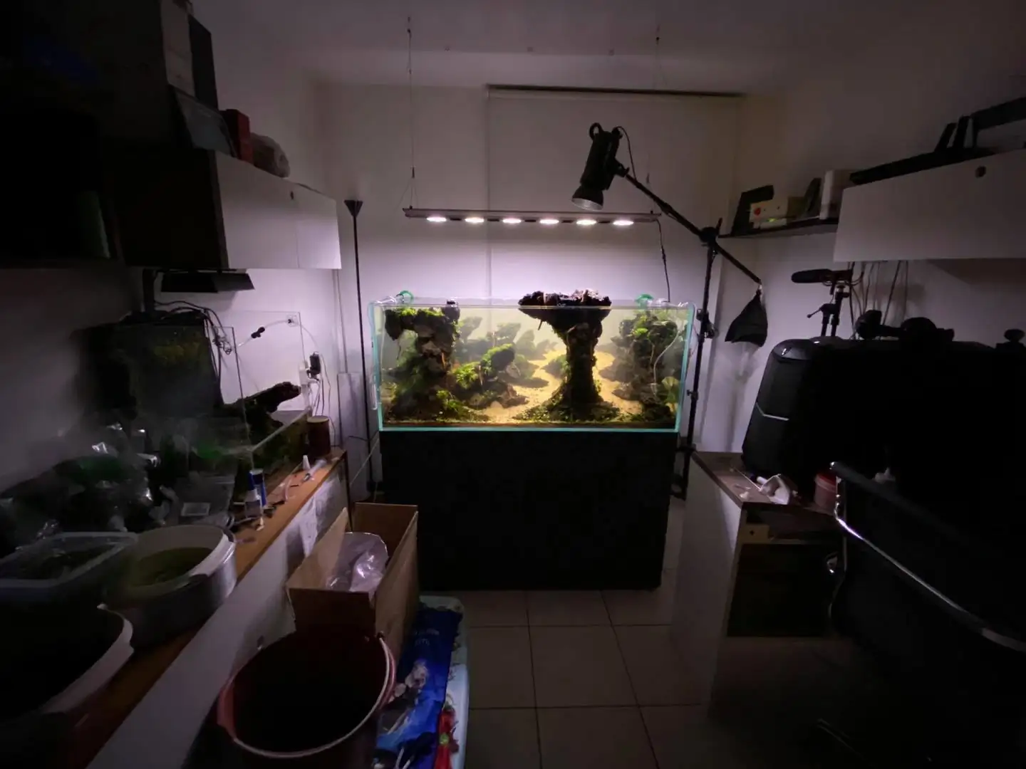 How to make nature aquarium - IAPLC 2021 Rank 120 - Imaginarium