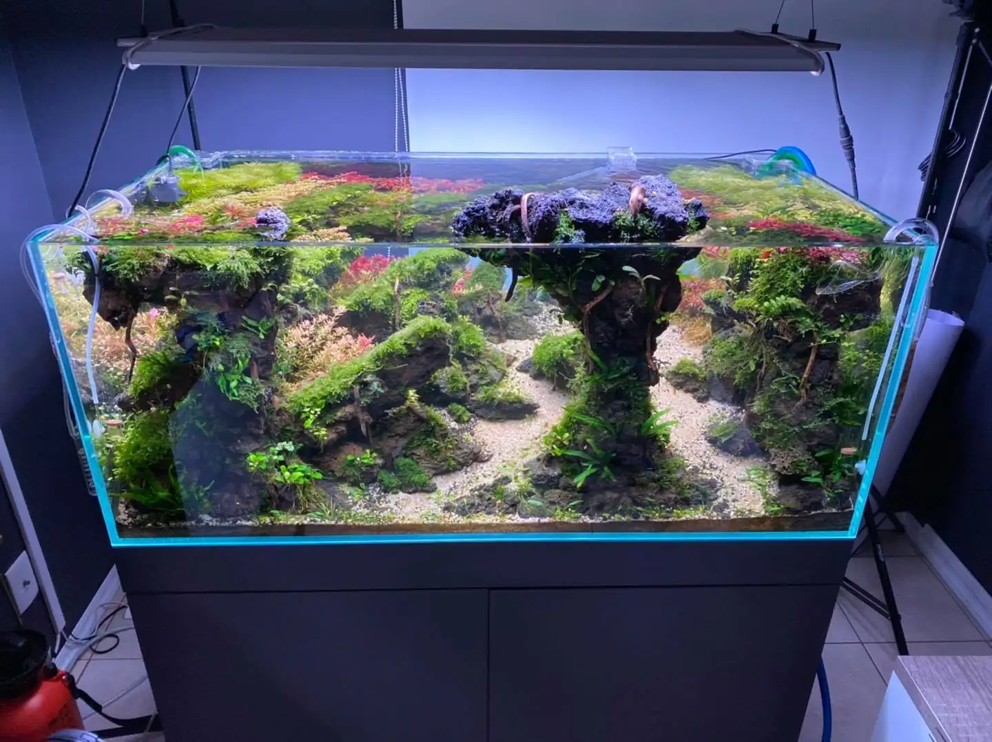 How to make nature aquarium - IAPLC 2021 Rank 120 - Imaginarium