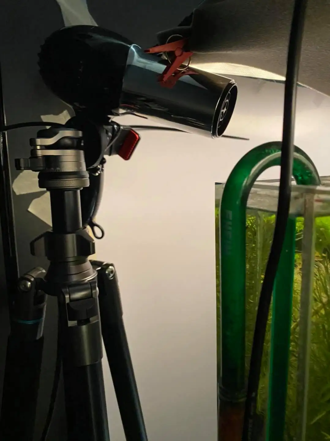 How to make nature aquarium - IAPLC 2021 Rank 120 - Imaginarium