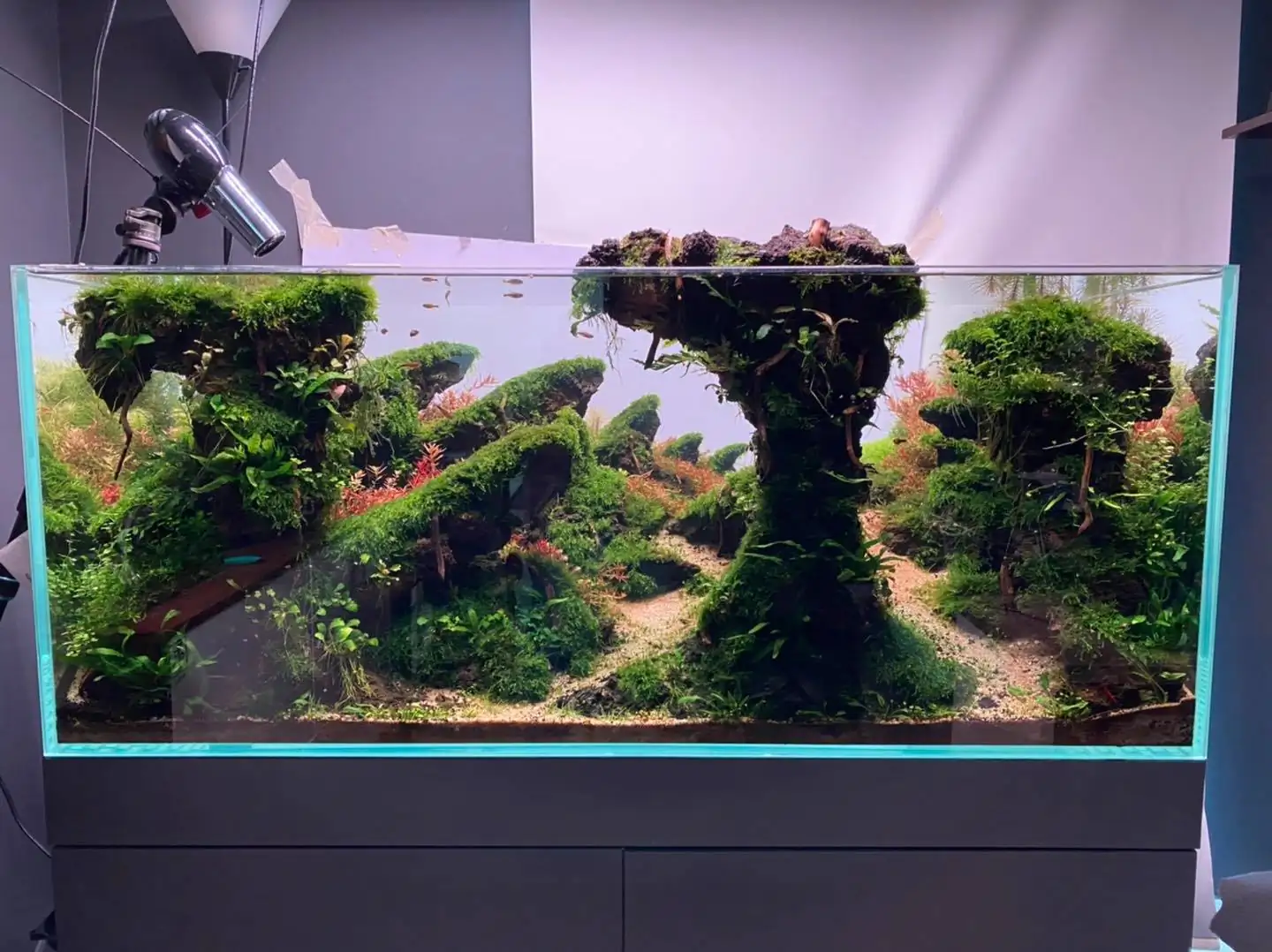 How to make nature aquarium - IAPLC 2021 Rank 120 - Imaginarium
