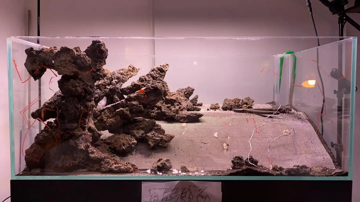 How to make nature aquarium - IAPLC 2021 Rank 120 - Imaginarium