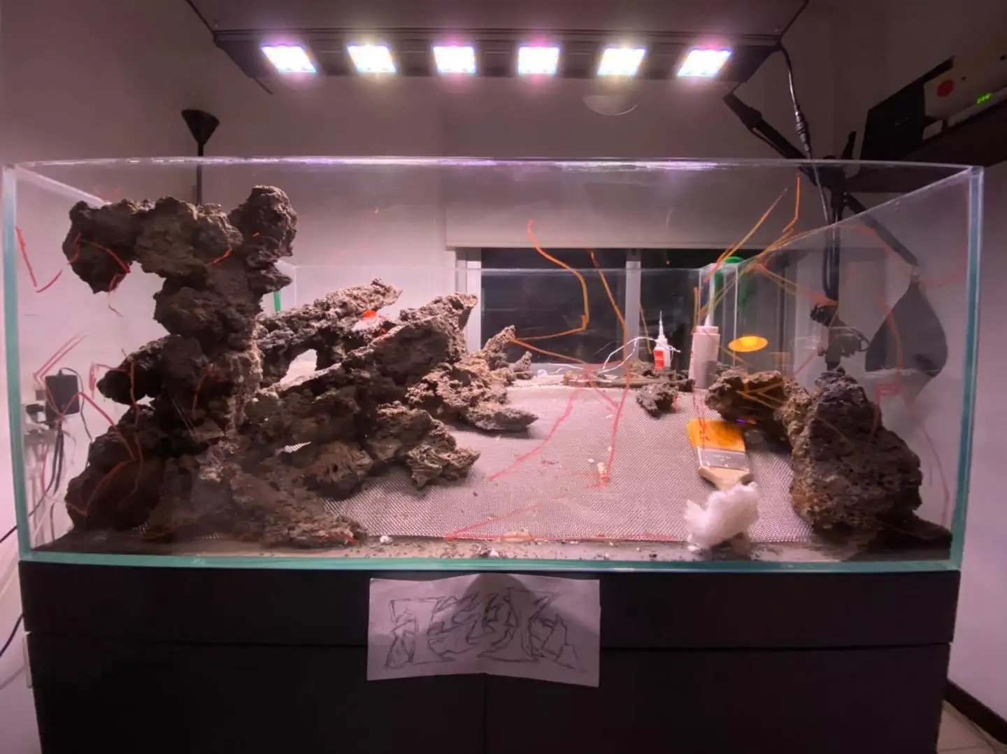 How to make nature aquarium - IAPLC 2021 Rank 120 - Imaginarium