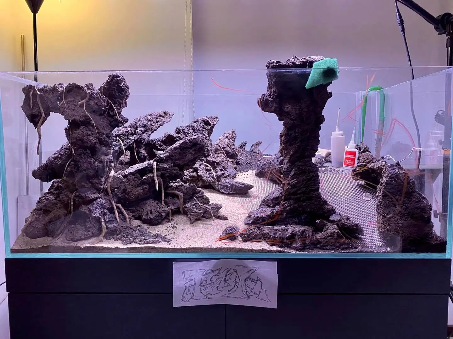 How to make nature aquarium - IAPLC 2021 Rank 120 - Imaginarium