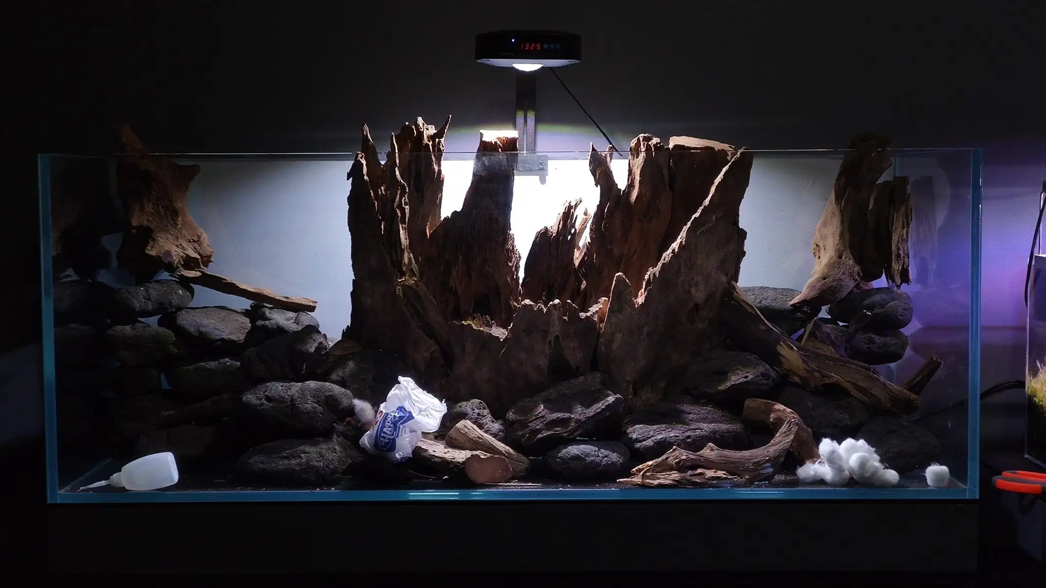 How to make a nature aquarium ranked 161th in the world - IAPLC 2020 - Ancient stump How to make a nature aquarium ranked 161th in the world - IAPLC 2020 - Ancient stump