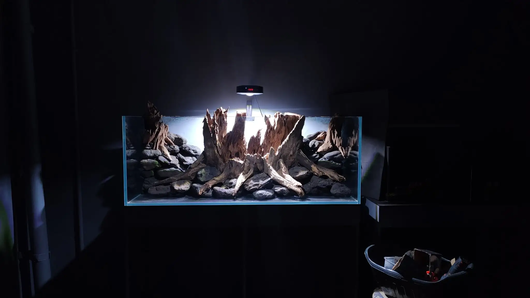How to make a nature aquarium ranked 161th in the world - IAPLC 2020 - Ancient stump How to make a nature aquarium ranked 161th in the world - IAPLC 2020 - Ancient stump