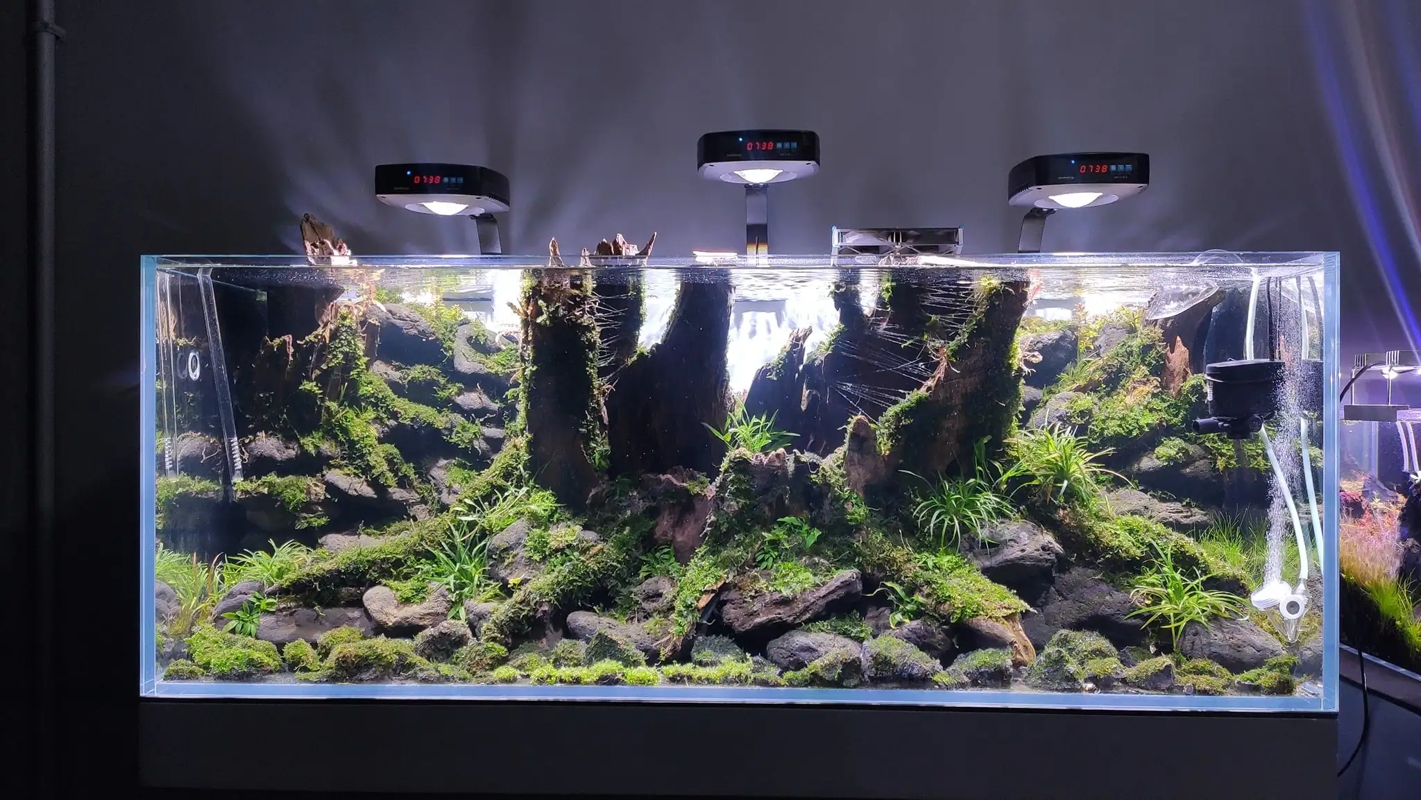 How to make a nature aquarium ranked 161th in the world - IAPLC 2020 - Ancient stump How to make a nature aquarium ranked 161th in the world - IAPLC 2020 - Ancient stump
