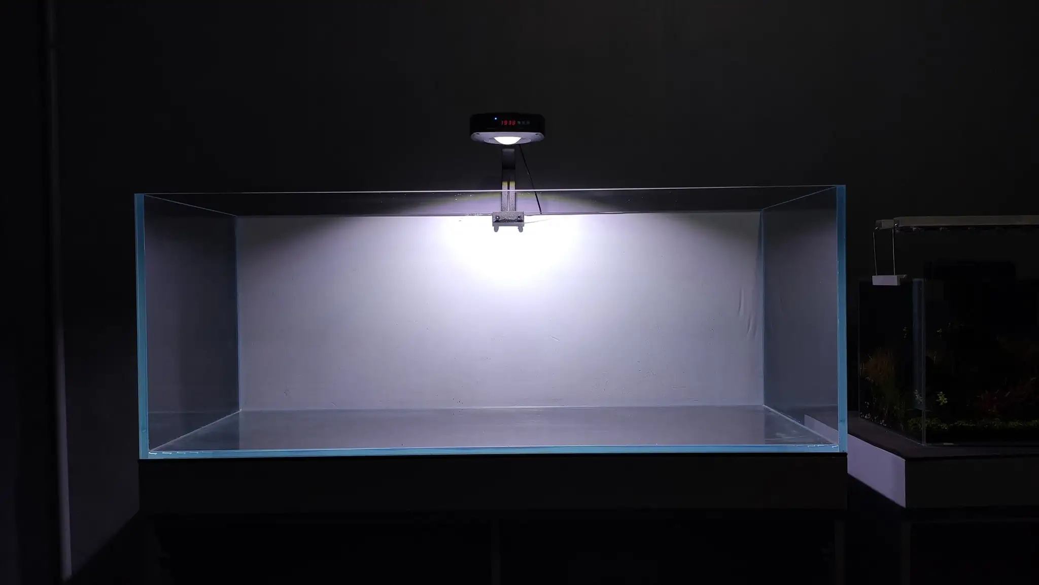 How to make a nature aquarium ranked 161th in the world - IAPLC 2020 - Ancient stump How to make a nature aquarium ranked 161th in the world - IAPLC 2020 - Ancient stump