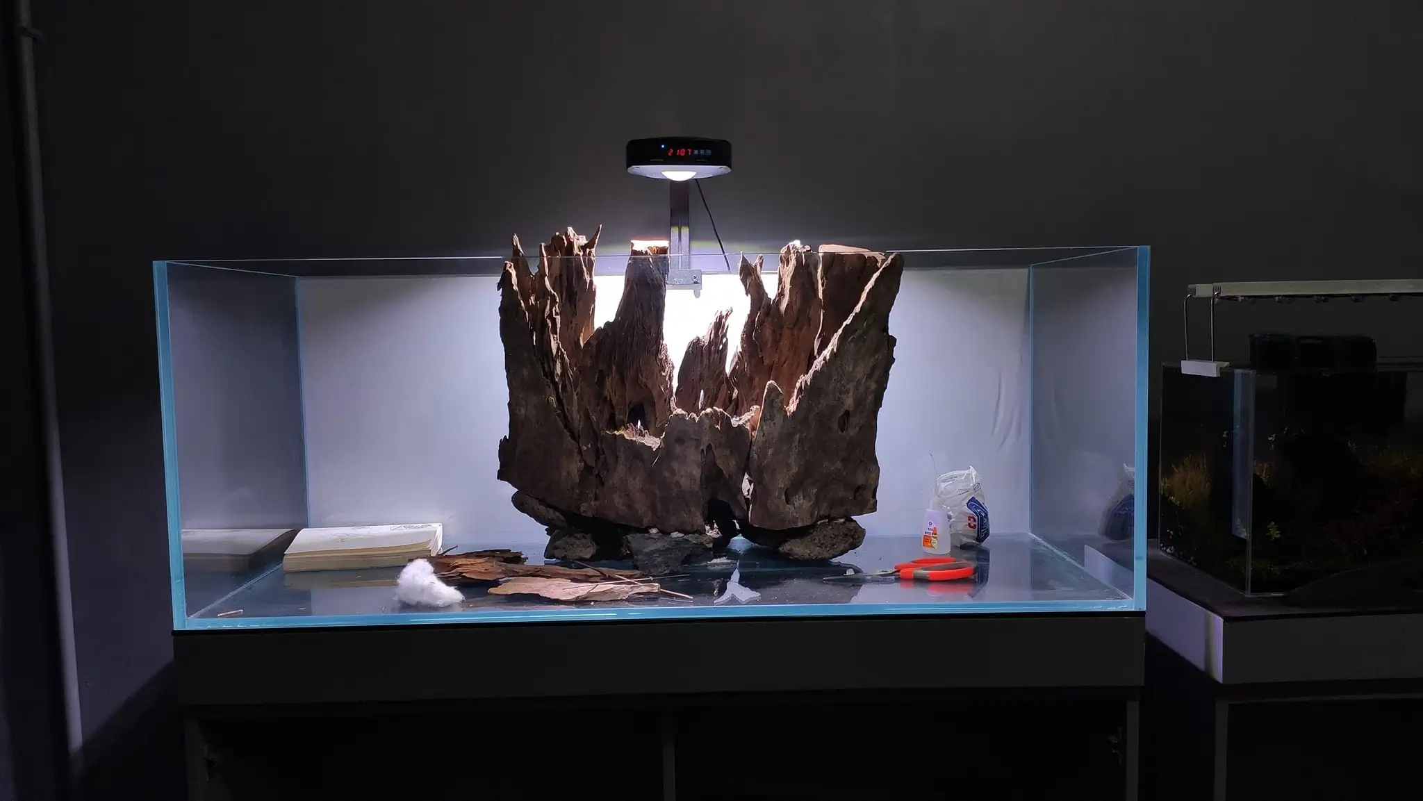 How to make a nature aquarium ranked 161th in the world - IAPLC 2020 - Ancient stump How to make a nature aquarium ranked 161th in the world - IAPLC 2020 - Ancient stump