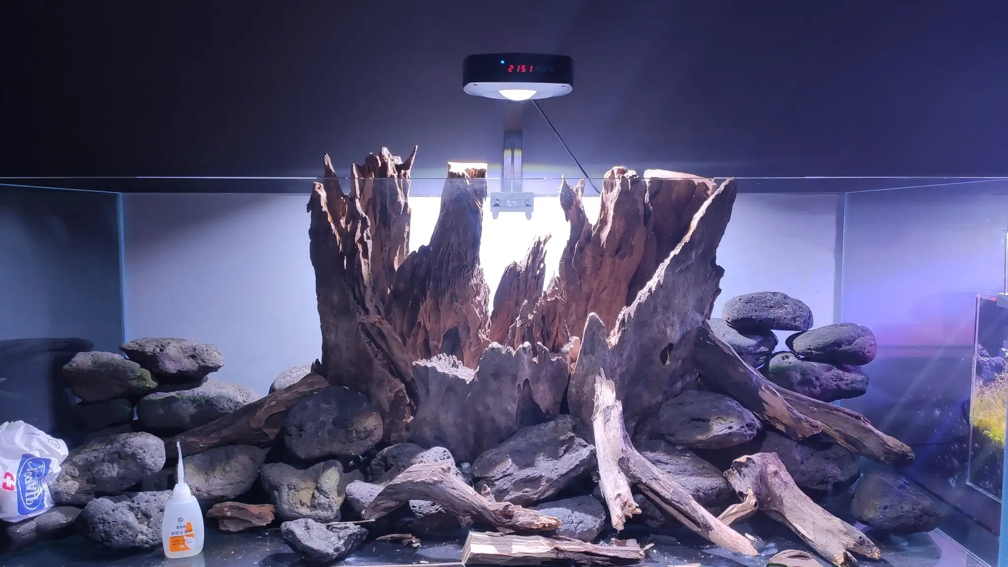 How to make a nature aquarium ranked 161th in the world - IAPLC 2020 - Ancient stump How to make a nature aquarium ranked 161th in the world - IAPLC 2020 - Ancient stump